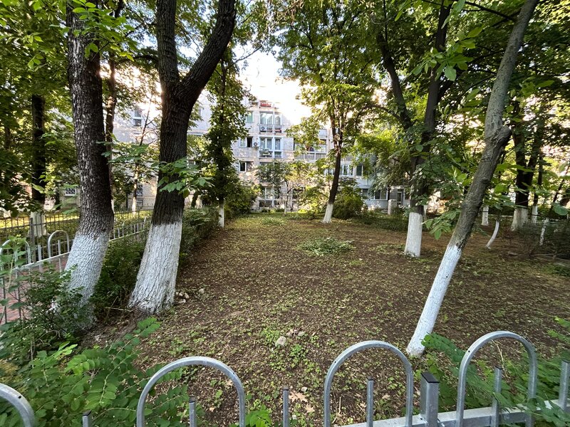 Minis /metrou Costin Georgian